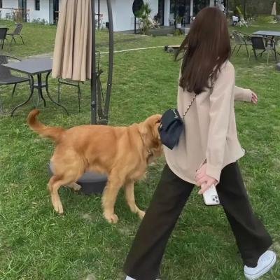 莫哈维沙漠