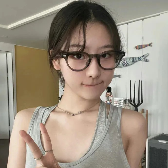 雁南飞